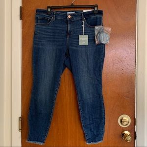 NWT Loft Plus high waist skinny sz 16
